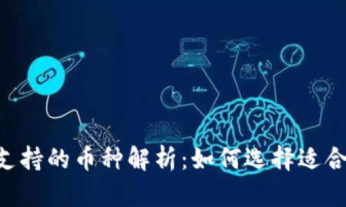 Coinbase钱包支持的币种解析:如何选择适合你的数字资产?