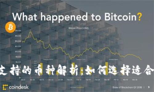 Coinbase钱包支持的币种解析:如何选择适合你的数字资产?