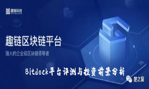 Bitdock平台评测与投资前景分析