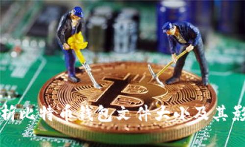 全面解析比特币钱包文件大小及其影响因素