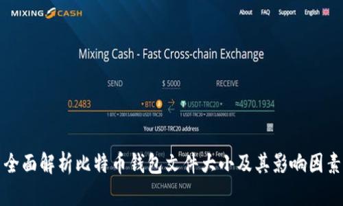 全面解析比特币钱包文件大小及其影响因素