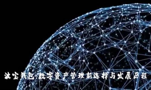 波宝钱包:数字资产管理新选择与发展历程