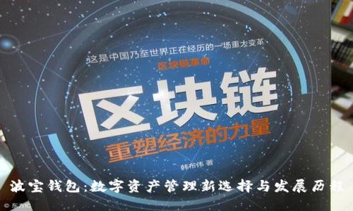 波宝钱包:数字资产管理新选择与发展历程