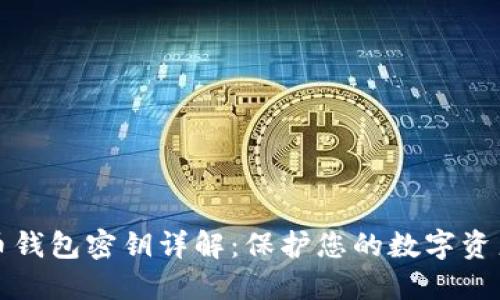 比特币钱包密钥详解:保护您的数字资产安全