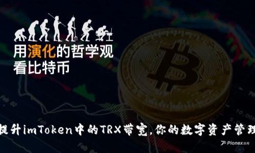 如何提升imToken中的TRX带宽,你的数字资产管理体验