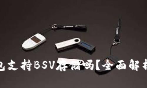 imToken钱包支持BSV存储吗?全面解析与实用指南
