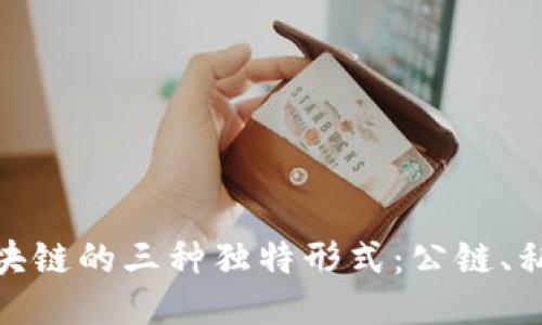 深入探讨区块链的三种独特形式:公链、私链与联盟链