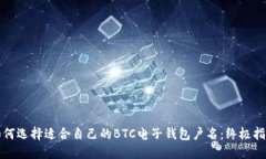 如何选择适合自己的BTC电子钱包户名：终极指南