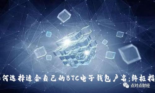 如何选择适合自己的BTC电子钱包户名:终极指南