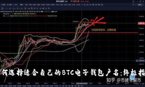 如何选择适合自己的BTC电子钱包户名:终极指南