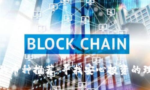最安全的币种推荐:寻找安心投资的理想选择