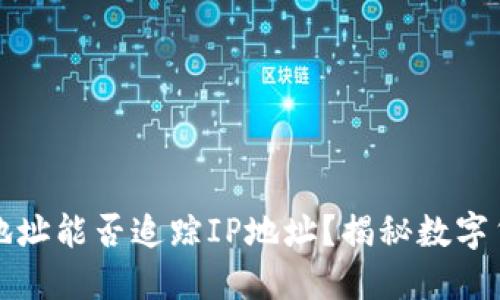 数字货币密钥地址能否追踪IP地址?揭秘数字货币的隐私本质