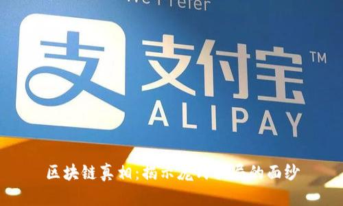区块链真相:揭示庞氏骗局的面纱