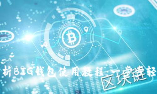 全面解析BTG钱包使用教程:一步步轻松掌握
