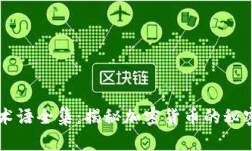 币圈术语全集:揭秘加密货币的秘密语言