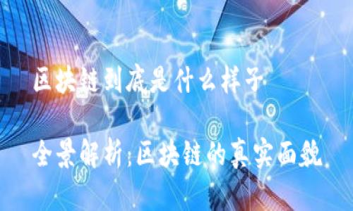 区块链到底是什么样子
全景解析:区块链的真实面貌