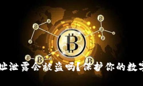 IM钱包地址泄露会被盗吗?保护你的数字资产安全