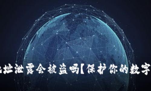 IM钱包地址泄露会被盗吗?保护你的数字资产安全