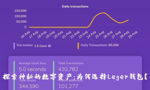 探索神秘的数字资产:为何选择Leger钱包?