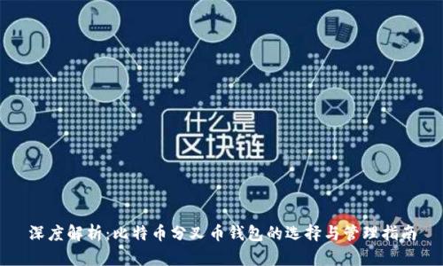 深度解析:比特币分叉币钱包的选择与管理指南