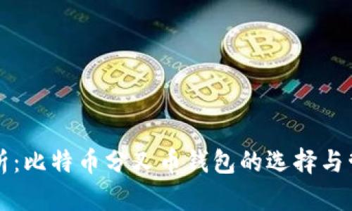 深度解析:比特币分叉币钱包的选择与管理指南