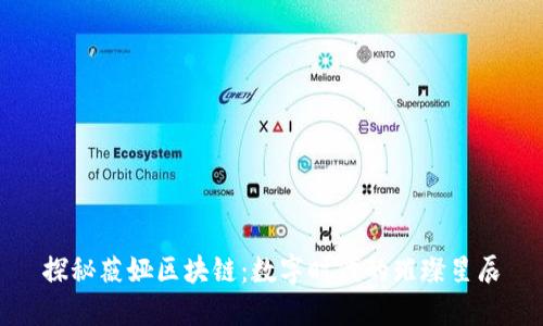 探秘薇娅区块链:数字时代的璀璨星辰