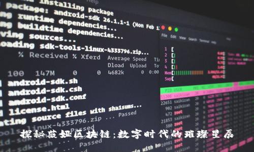 探秘薇娅区块链:数字时代的璀璨星辰