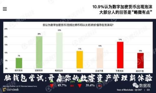 脑钱包尝试:开启你的数字资产管理新体验