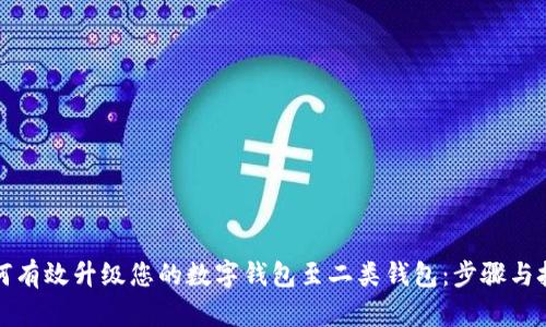 如何有效升级您的数字钱包至二类钱包:步骤与技巧