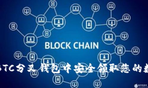 如何在BTC分叉钱包中安全领取您的数字资产