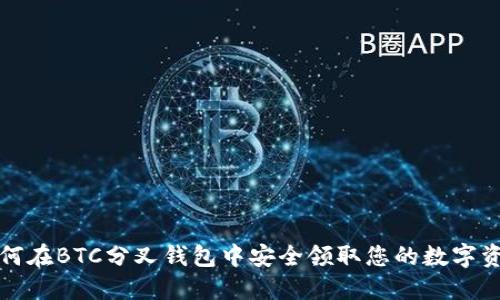 如何在BTC分叉钱包中安全领取您的数字资产