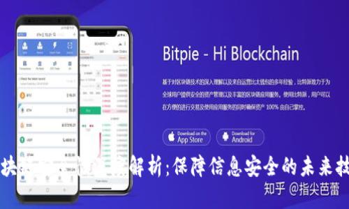 区块链安全性深度解析:保障信息安全的未来技术