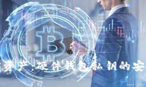 保护你的加密资产:硬件钱包私钥的安全性与重要性