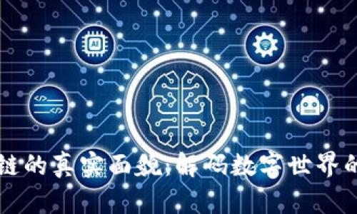 区块链的真实面貌:解码数字世界的未来