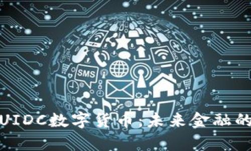 深入剖析UIDC数字货币:未来金融的创新先锋