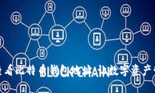 如何轻松查看比特币钱包地址:让数字资产管理更安全