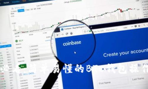 新手必看:简单易懂的BTC钱包操作指南