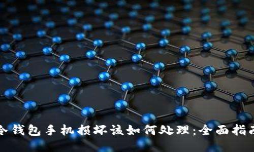 冷钱包手机损坏该如何处理:全面指南