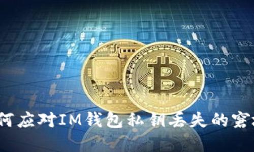 如何应对IM钱包私钥丢失的窘境?