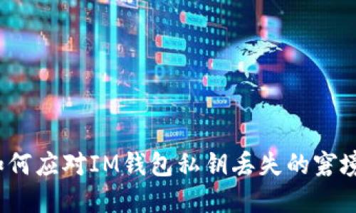 如何应对IM钱包私钥丢失的窘境?
