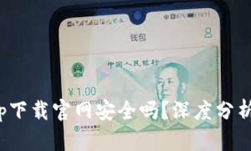 数字钱包app下载官网安全吗？深度分析与实用建议