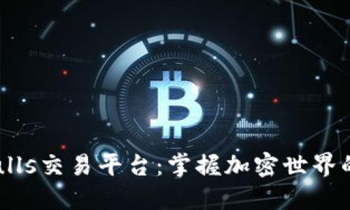 Bitbulls交易平台:掌握加密世界的利器