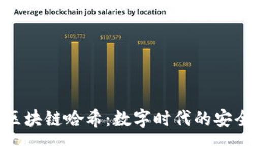 解密区块链哈希：数字时代的安全密码