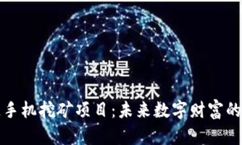 区块链手机挖矿项目:未来数字财富的新风潮