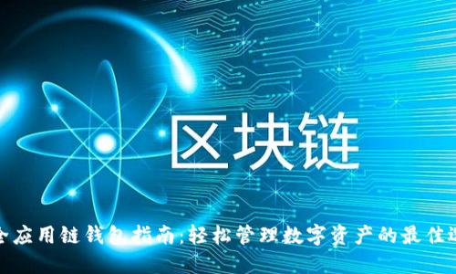最全应用链钱包指南:轻松管理数字资产的最佳选择