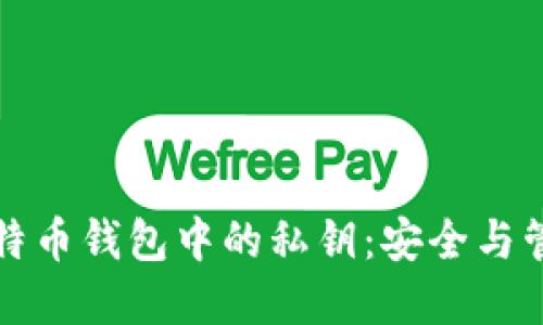 理解比特币钱包中的私钥:安全与管理技巧