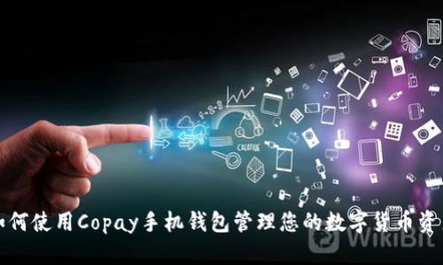 如何使用Copay手机钱包管理您的数字货币资产