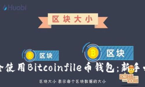 如何安全使用Bitcoinfile币钱包:新手必读指南