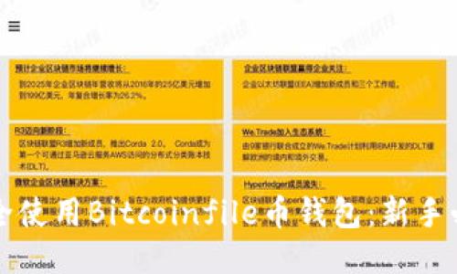 如何安全使用Bitcoinfile币钱包:新手必读指南