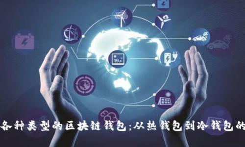 如何区分各种类型的区块链钱包:从热钱包到冷钱包的全面解析